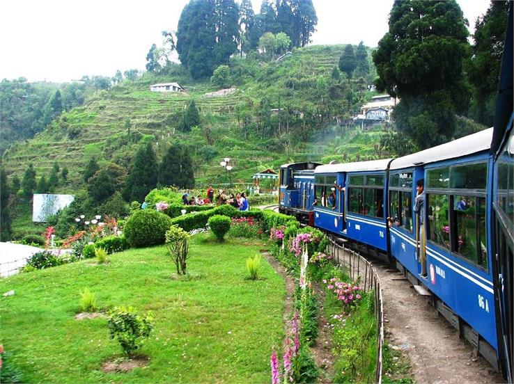 darjeeling